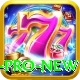 PKWin Pro New